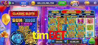 Platform Technology timbet