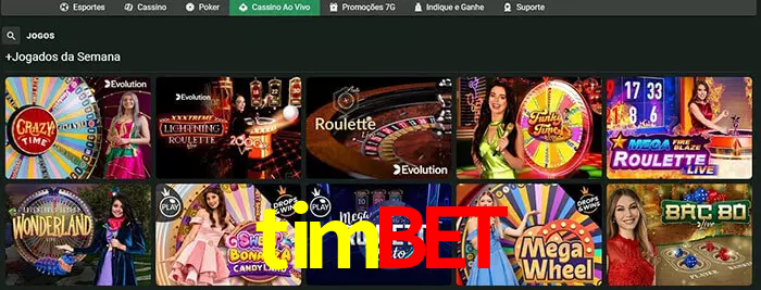 timbet bet
